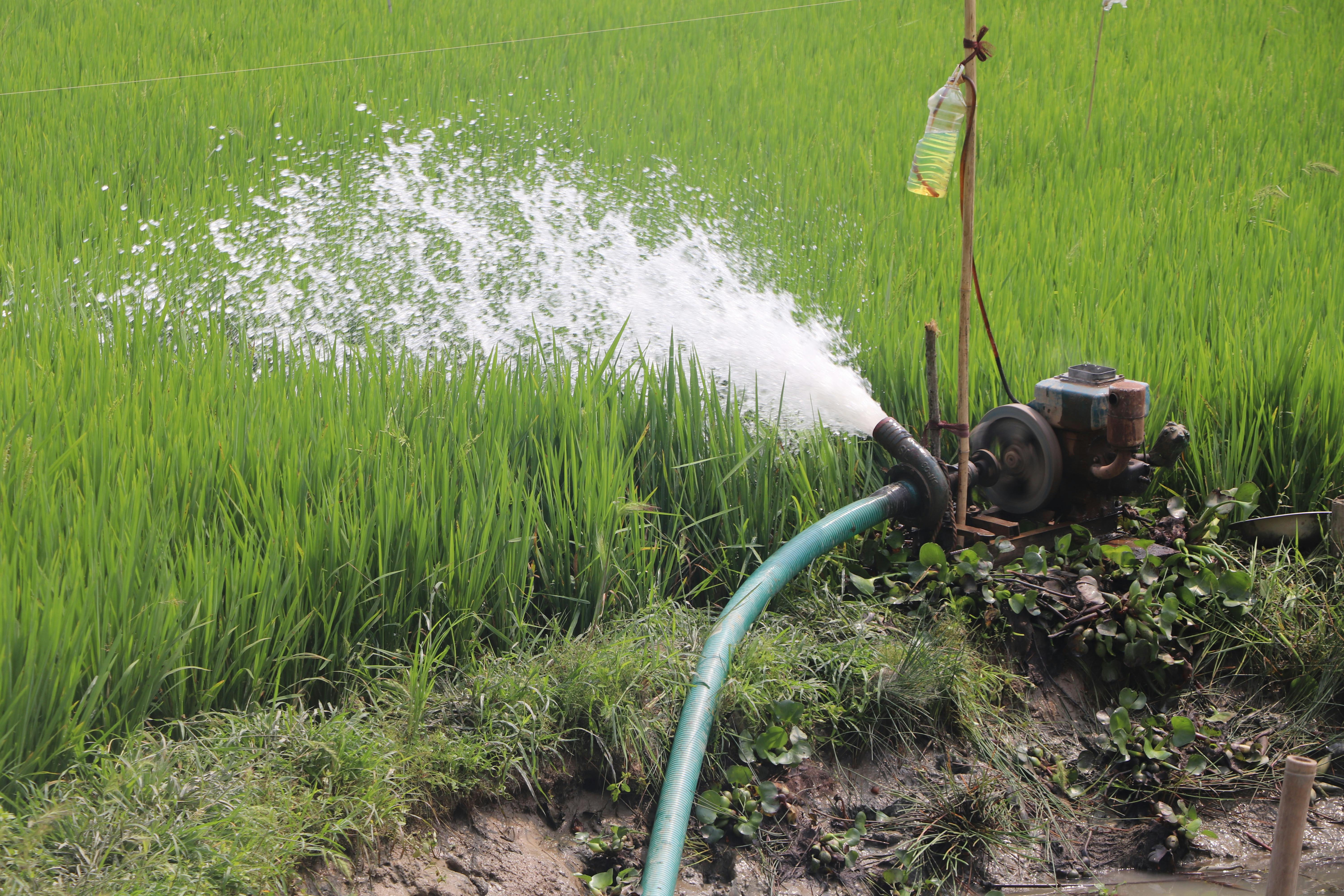 Clean Water, Strong Crops: The Science Behind Irrigation Water Testing